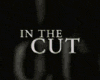 image de la vidéo In the Cut Bande-annonce VF