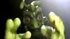 image de H2G2 : le guide du voyageur galactique Teaser (3) VF