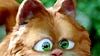 image de Garfield 2 Extrait vidéo (2) VF