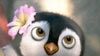 image de Les Rois de la glisse Teaser (2) VF