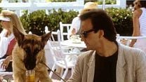 image de Chien de flic Bande-annonce VO