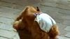 image de Bambou Teaser (2) VF