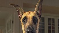 image de la vidéo Marmaduke Bande-annonce VF