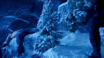 image de Arrow - saison 3 - épisode 10 Teaser VO