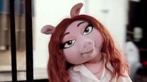 image de The Muppets - TEASER VO "Kermit est distrait"