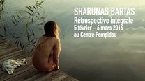 image de "La Rétrospective Sharunas Bartas au Centre Pompidou"