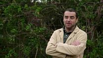 image de Le Bois dont les rêves sont faits - EXTRAIT VF "Les pigeons"