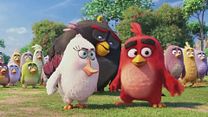 image de Angry Birds - EXTRAIT VF "Feu !"