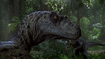 image de The Big Fan Theory - Y a-t-il vraiment des dinosaures à "Jurassic Park" ?