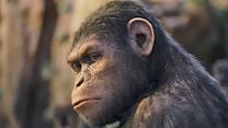 image de La Planète des singes : les origines Bande-annonce VF
