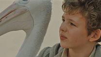 image de Storm Boy Bande-annonce VF