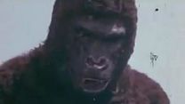 image de The New King Kong Bande-annonce VO