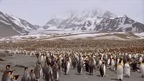 image de Patagonie - Cap Horn - Georgie du Sud - Dans les 50èmes hurlants Bande-annonce VF