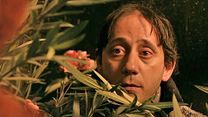 image de Il était une fois Palilula Bande-annonce VO
