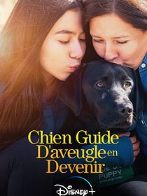Chien guide d'aveugle en devenir