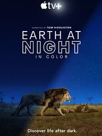 Terre : les couleurs nocturnes