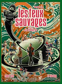 Affiche de Les Feux sauvages, film à voir en streaming sur Pygargue