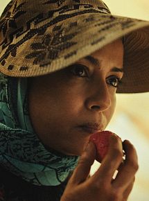 Affiche de Les Fraises, film à voir en streaming sur Pygargue