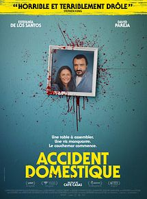 Affiche de Accident domestique, film à voir en streaming sur Pygargue
