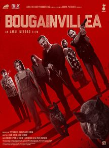 Affiche de Bougainvillea, film à voir en streaming sur Pygargue
