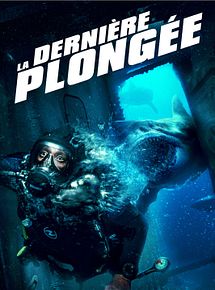 Affiche de La Dernière Plongée, film à voir en streaming sur Pygargue