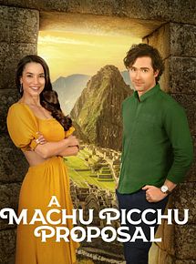 Affiche de Une demande en mariage à tout prix, film à voir en streaming sur Pygargue