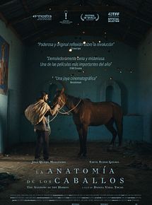Affiche de The Anatomy of the Horses, film à voir en streaming sur Pygargue