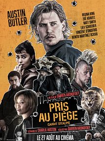 Affiche de Pris au piège - Caught Stealing, film à voir en streaming sur Pygargue