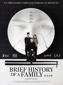 Affiche de Brief History of a Family, film à voir en streaming sur Pygargue