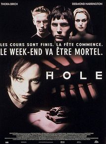 Affiche de The Hole, film à voir en streaming sur Pygargue