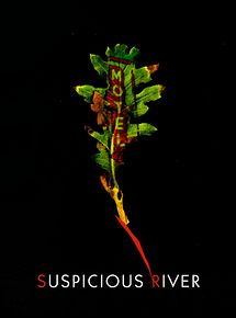 Affiche de Suspicious river, film à voir en streaming sur Pygargue