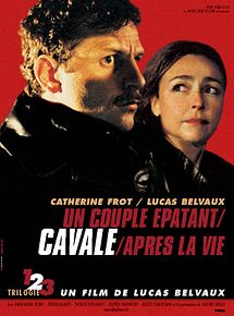 Affiche de Cavale, film à voir en streaming sur Pygargue