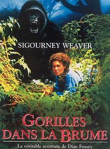 Affiche de Gorilles dans la brume, film à voir en streaming sur Pygargue