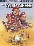 Affiche de Les Oies sauvages, film à voir en streaming sur Pygargue