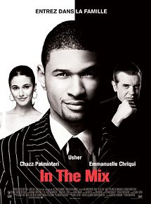 Affiche de In The Mix, film à voir en streaming sur Pygargue