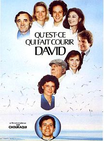 Affiche de Qu'est-ce qui fait courir David ?, film à voir en streaming sur Pygargue