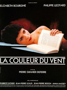 Affiche de La Couleur du vent, film à voir en streaming sur Pygargue
