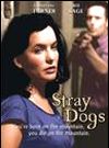 Affiche de Stray Dogs, film à voir en streaming sur Pygargue