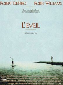 Affiche de L'Eveil, film à voir en streaming sur Pygargue
