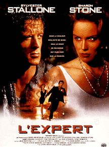 Affiche de L'Expert, film à voir en streaming sur Pygargue