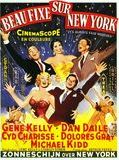 Affiche de Beau Fixe sur New York, film à voir en streaming sur Pygargue