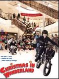 Affiche de Le jackpot de Noël, film à voir en streaming sur Pygargue