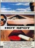 Affiche de Hot Spot, film à voir en streaming sur Pygargue