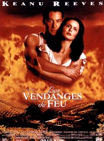 Affiche de Les Vendanges de feu, film à voir en streaming sur Pygargue