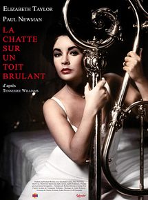 Affiche de La Chatte sur un toit brûlant, film à voir en streaming sur Pygargue