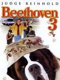 Affiche de Beethoven 3, film à voir en streaming sur Pygargue