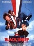 Affiche de Black Sheep, film à voir en streaming sur Pygargue