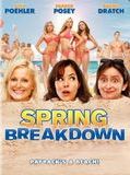 Affiche de Spring Breakdown, film à voir en streaming sur Pygargue