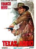 Affiche de Texas adios, film à voir en streaming sur Pygargue