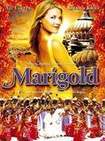 Affiche de Marigold, film à voir en streaming sur Pygargue